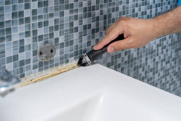 Best Mold Removal Process  in New River, AZ
