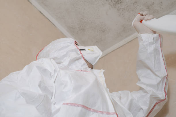 Best Residential Mold Removal  in New River, AZ